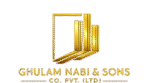 gns-co.com